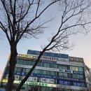 우리수내과의원 | 안산 임산부 백일해주사시기 맞는이유 3만 원대에 접종하는 법 (26년기준) 맑은수내과