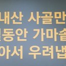 고향길장터순대 이미지