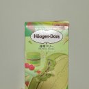 GS25 송담중앙점 | GS25 하겐다즈 아이스크림 할인 꿀팁 | 크리스피 샌드위치 말차베리 카라멜 후기