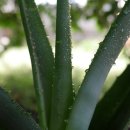 원종화장품 이미지