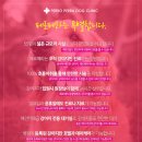 페로페라 동물병원 이미지