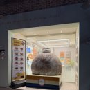 배배꼬 | [광주 일곡동 카페] 동물성 크림 도넛 맛집 배배꼬 광주일곡점 후기