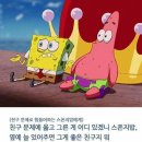 뚱이 이미지