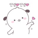 보떼뷰티플렉스 이미지