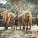 종난농장 이미지