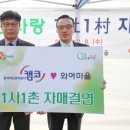 다복솔농장 이미지