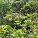 구상목장 이미지