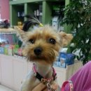 용강동물병원 이미지