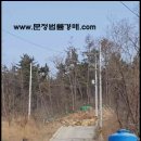 엠지코퍼레이션
