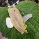 사랑해 | 외식 추천! 김포 양곡 회 맛집 사랑해 사랑회 재방문 후기