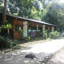 서해안리조트 이미지