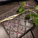 진참치신평점 이미지