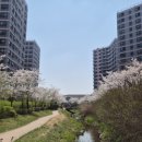 우시장천 이미지