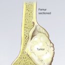 구로삼성탑정형외과의원 이미지