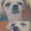 디자인예 이미지