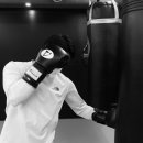 팀와이에프 이미지