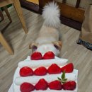 파리바게트(장위뉴타운점) 이미지