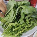 진주세꼬시 | 경남 진주시 봉곡동 / 서부시장 근처 진주 현지인 추천 회 맛집 &#39;강남횟집&#39;