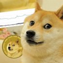 도지코인 ﻿Dogecoin (DOGE) 대 시바이누 Shiba Inu (SHIB) – 차이점은 무엇입니까? 이미지