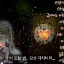 슬픈 우연 ㅡ 조항조 이미지