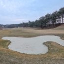 파인리즈리조트