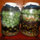 산복숭아(개복숭아) 효소 담그는법 이미지