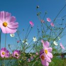 유정한의원 이미지