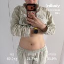 48 | 그린몬스터 헐리우드 48시간 후기｜급찐살 리셋용 디톡스 1.5kg 빠짐