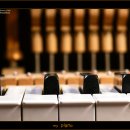 소리나무피아노학원 이미지