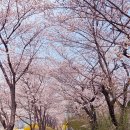 지상철 칠곡경대병원역 이미지