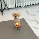 오늘의 개스트 이미지