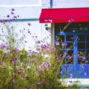 리:피움미술관 이미지