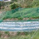 둔덕농장2 이미지