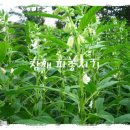 수촌농장 이미지