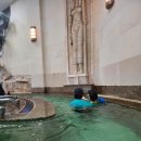 대명월드타워 | 《홍천》아이들 여행가서 체력빼는곳 오션월드