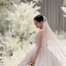 삼성전자 서초사옥 웨딩홀 아이폰스냅 후기｜강남역 사내웨딩홀 추천