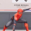 국가대표 메카태권도 이미지