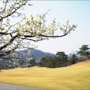 태인컨트리클럽 이미지