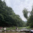 개울농장 | 광주 남한산성 카페 추천! 개울테라스에서 아기랑 여름 피크닉