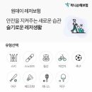 하나레저 이미지