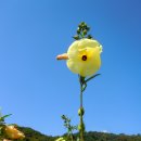 마차산슈퍼 네이버블로그