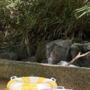 느티골길 이미지