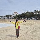 몽산포항 이미지