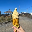 고산로 220 | [제주 3박4일] 마지막 3-4일차 기록 (맛집, 관광지)