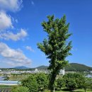 아우내길 이미지