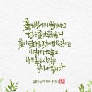 수채화 중급 이미지