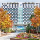 악극<찔레꽃> 이미지