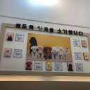 뽀도독 애견카페 이미지