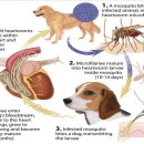 해피동물병원 이미지
