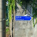 머구낭동산 티스토리